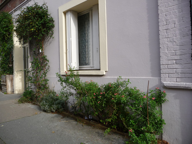 Rue Edouard Adam
