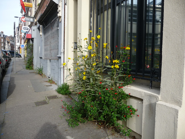 Rue Edouard Adam